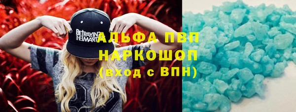 гашик Зерноград