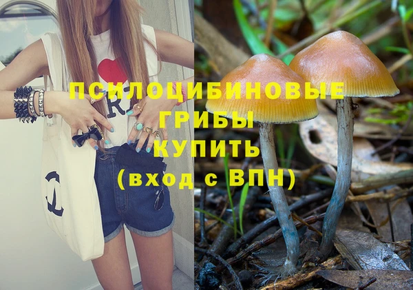 гашик Зерноград